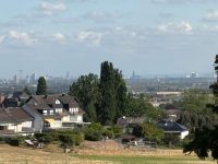 Blick zum Dom